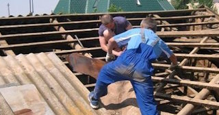 Демонтаж крыши в Гатчине - стоимость работ от 735 рублей за м2